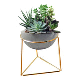 Metal Geometrical Circle Garden Lawn Gardening Plant Stands - 5minutessolution