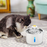 Automatic Cat Water Fountain Animals Pet Supplies Cat Supplies Cat Toys - 5minutessolution