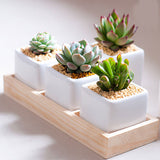 3 Grids Wooden Garden Lawn Gardening Plant Stands - 5minutessolution