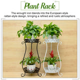 Double Layer Garden Lawn Gardening Plant Stands - 5minutessolution