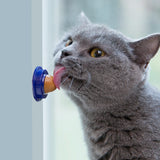 Cat Treats Energy Ball Animals Pet Supplies Cat Supplies Cat Food - 5minutessolution