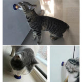 Cat Treats Energy Ball Animals Pet Supplies Cat Supplies Cat Food - 5minutessolution
